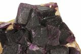Dark Purple Cubic Fluorite on Quartz - China #94320-3
